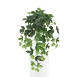 Ivy kunsthangplant voor binnen