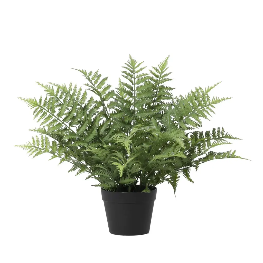 Nephrolepis exaltata kunstplant – varen