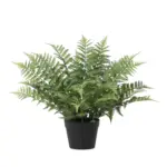 Nephrolepis exaltata kunstplant – varen