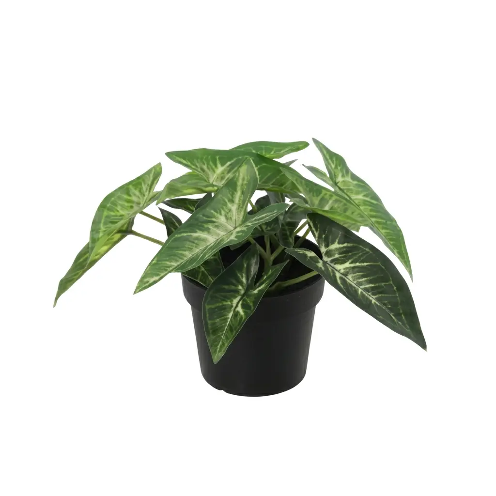 Syngonium kunstplant voor binnen