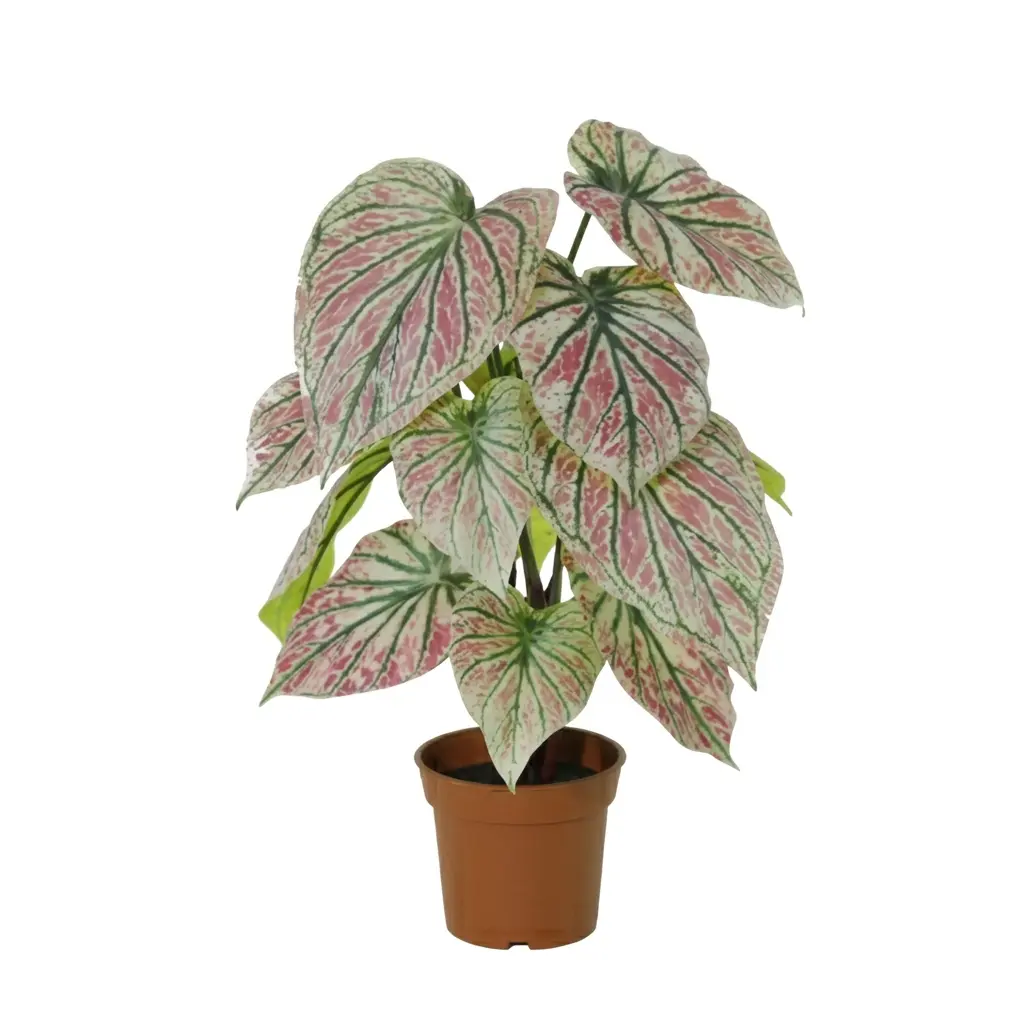 Caladium kunstplant groen-roze voor binnen