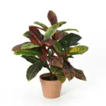 Croton codiaeum kunstplant voor binnen