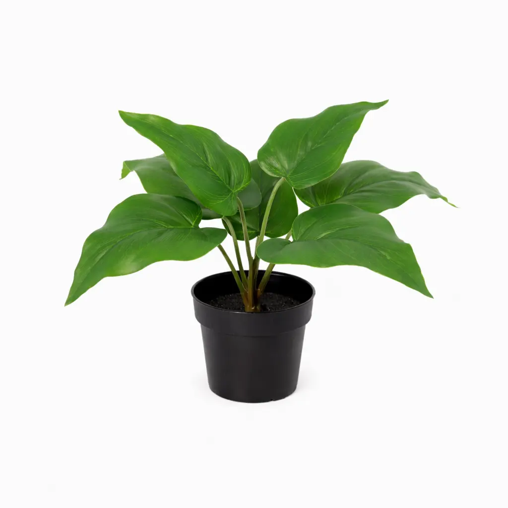 Philodendron Imperial Green kunstkamerplant