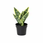Sansevieria Laurentii kunstplant voor binnen