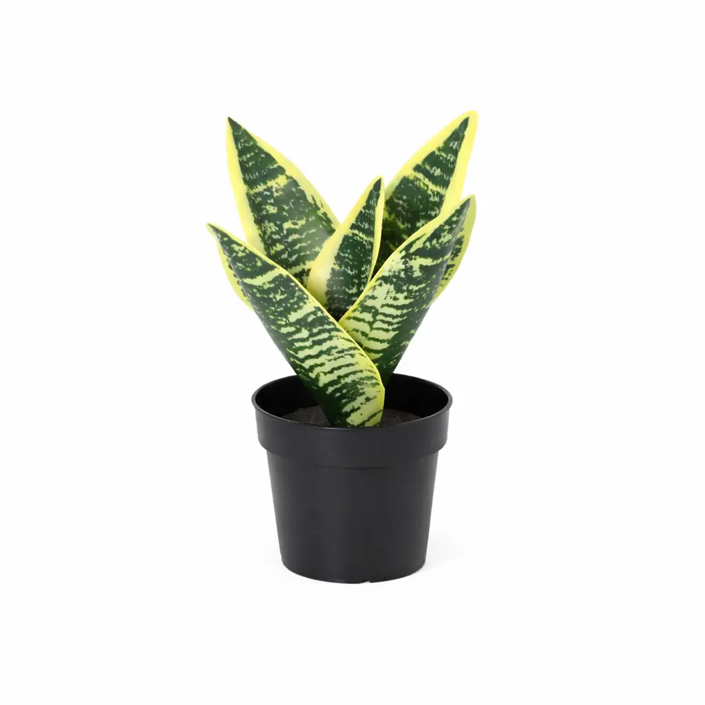 Sansevieria Laurentii kunstplant voor binnen