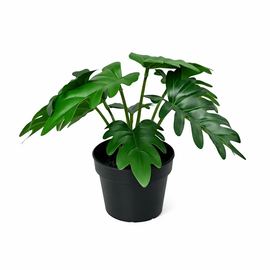 Philodendron Xanadu kunstkamerplant