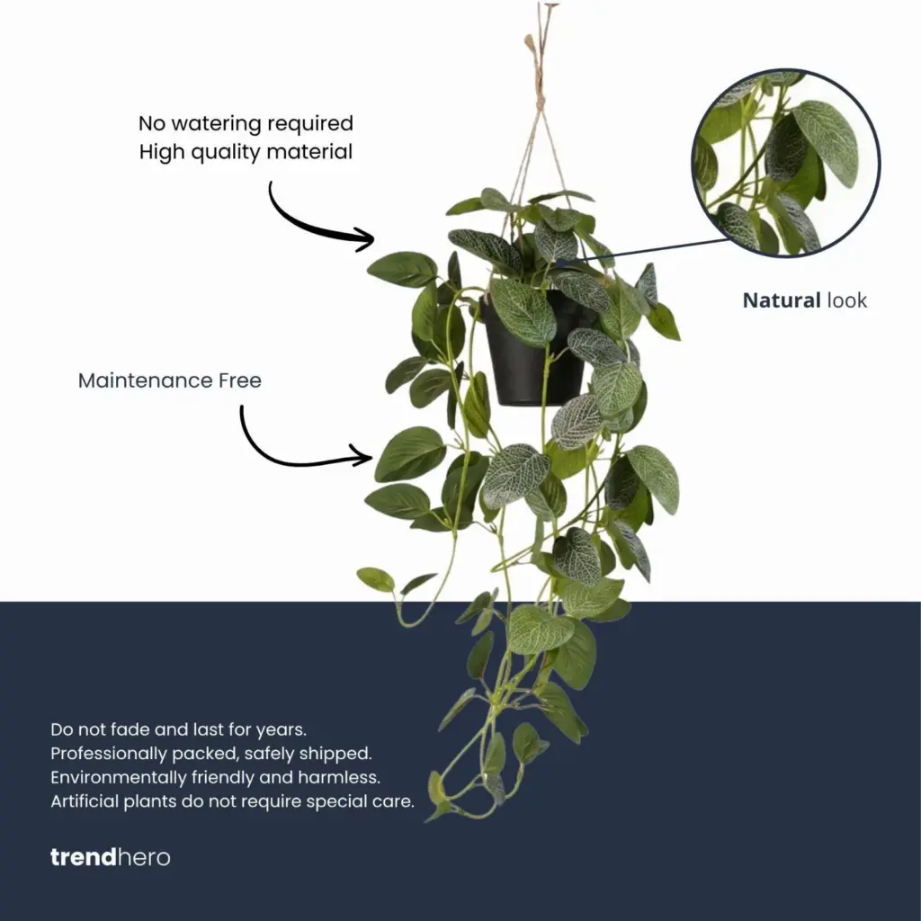 Fittonia kunsthangplant in pot — productfoto 3