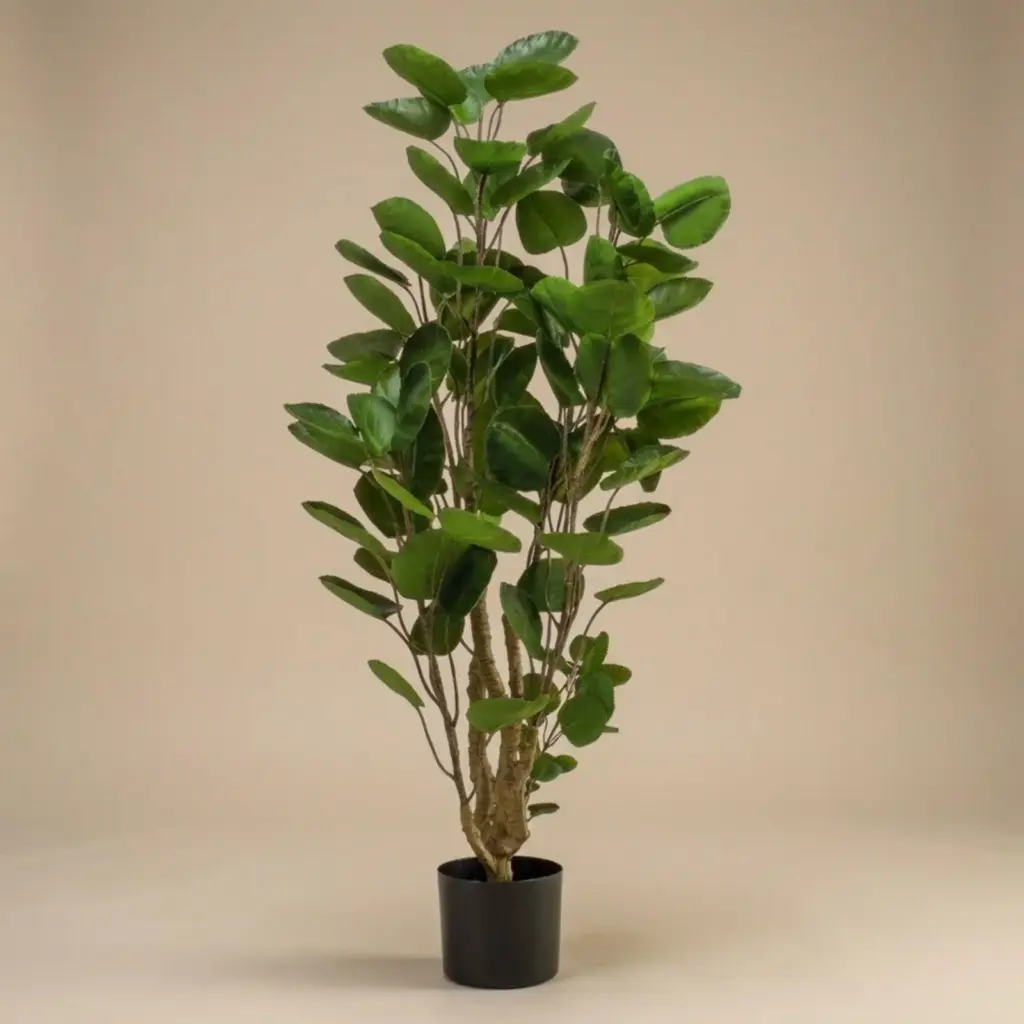 Polyscias kunstboom – sierlijke kamerplant