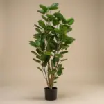 Polyscias kunstboom – sierlijke kamerplant